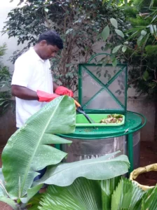 Person wearing red gloves adding chopped kitchen waste into a green outdoor composting unit surrounded by lush garden plants, demonstrating eco-friendly home composting.