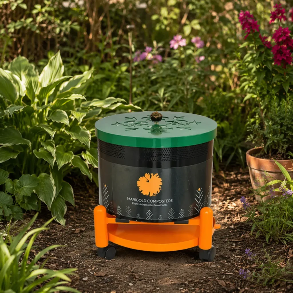 Marigold composter placed in a garden