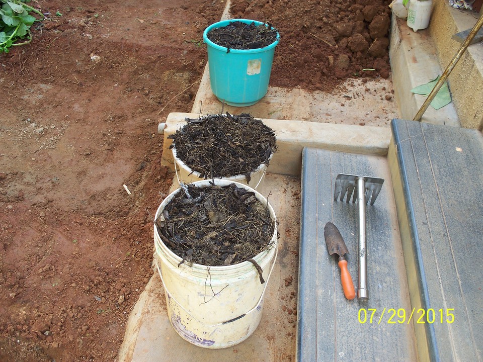 Home composter options for a Bangalore household — Marigold Mini